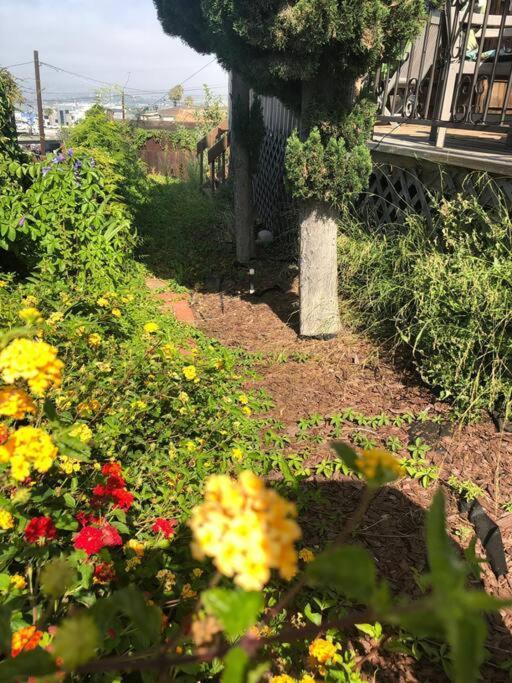 Cozy Studio In Downtown San Diego Zewnętrze zdjęcie
